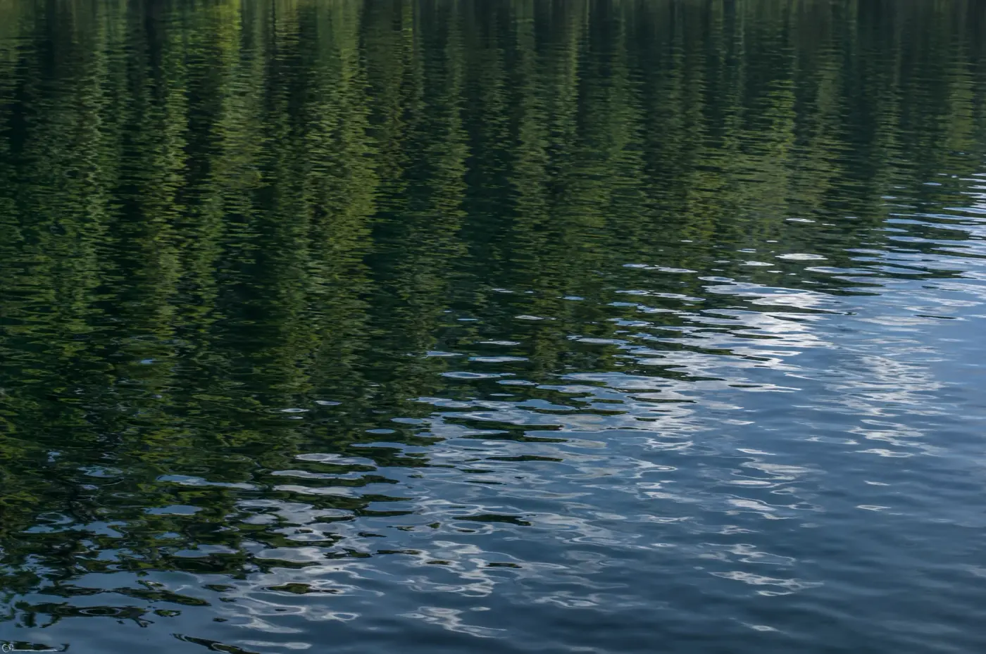 Forest reflections shifting across the surface of the lake